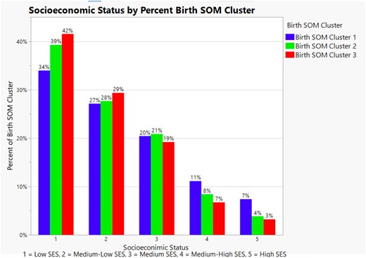 Illustrates the percent of self-organizing birth map cluster assignment by socioeconomic status level in Milwaukee County. It also illustrates the inequity of self-organizing birth map cluster 3 assignment at the lowest 2 socioeconomic status levels.