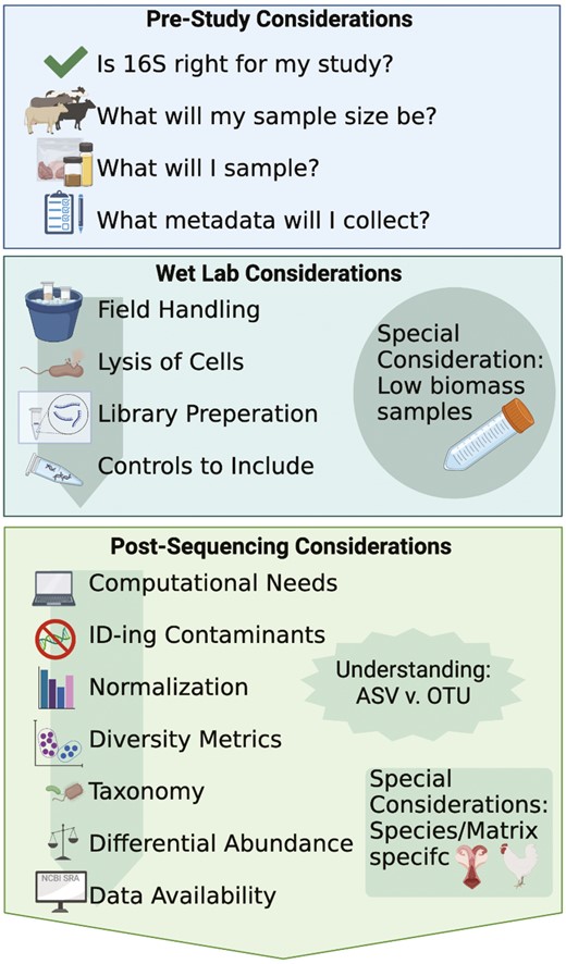 Overview of considerations when conducting a 16S rRNA gene sequencing study. Created with Biorender.com.