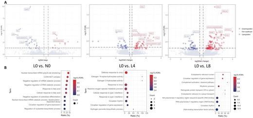 Identification of DEG and corresponding BP enrichment. (A) From top left to bottom left: volcano plots of DEG in L0 vs. N0, L0 vs. L4 and L0 vs. L8 comparisons, respectively (FDR < 0.1). Top 5 downregulated (blue) and upregulated genes are labeled. (B) Enrichment of BP in GO analysis of 3 comparisons (P < 0.01).