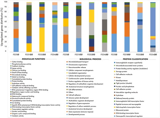 The distributions of molecular function, biological process, and protein classification of upregulated genes in the FEO supplemented groups (FEO50, FEO100, FEO200, and FEO400) compared to the control group (%).