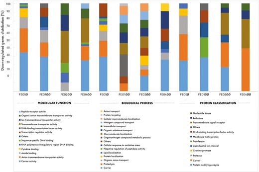 The distributions of molecular function, biological process, and protein classification of downregulated genes in the FEO supplemented groups (FEO50, FEO100, FEO200, and FEO400) compared to the control group (%).