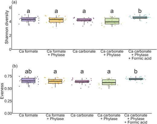 Diversity index of the individual fecal samples divided by diet. (a) Shannon diversity index and (b) evenness. Significant differences (P ≤ 0.05) are indicated by different letters.