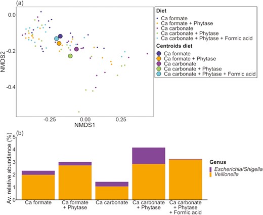 Individual digesta samples divided by dietary treatment. (a) NMDS and (b) barplots of the relative abundance data at the genus level with significant differences (P ≤ 0.05).