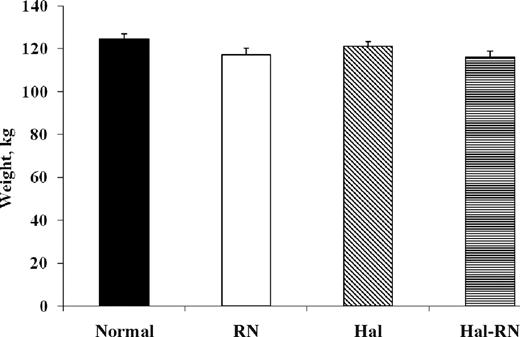 Body weights of normal, Rendement Napole (RN), Halothane (Hal), and Hal-RN double mutant pigs.
