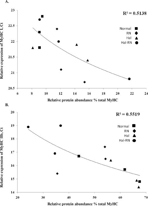 Relationship between mRNA expression (threshold cycle, Ct) and relative protein abundance (%) of type I (A) and IIb (B) in LM from normal, Rendement Napole (RN), Halothane (Hal), and Hal-RN double mutant pigs. Each data point represents 1 sample from 1 pig.