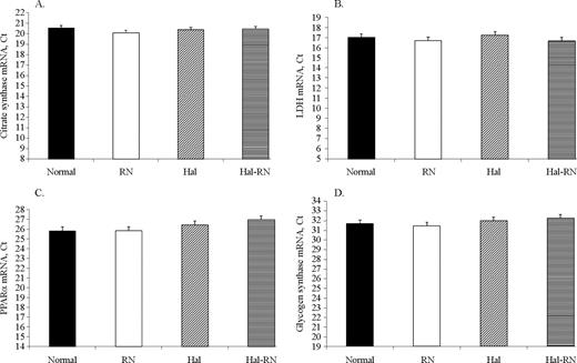 Real-time PCR analysis for mRNA expression level of citrate synthase (A), lactate dehydrogenase (LDH; B), peroxisome proliferator-activated receptor α (PPARα; C), and glycogen synthase (D) of LM from normal, Rendement Napole (RN), Halothane (Hal), and Hal-RN double mutant pigs. n = 10 in each group. Ct = threshold cycle.