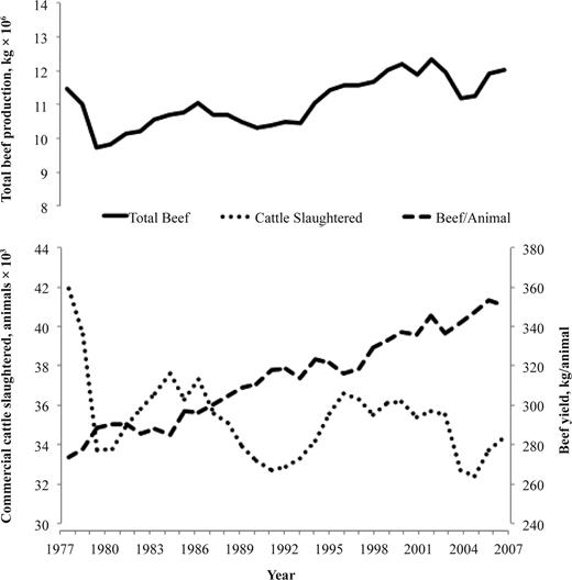 Changes in total US beef production, number of commercial cattle slaughtered, and beef yield per animal from 1977 to 2007.