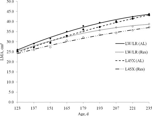 Longissimus muscle area (LMA) at each age for Large White/Landrace (LW/LR) and Line 45 cross (L45X) gilts developed with ad libitum access to feed (AL) or 75% of ad libitum intake (Res) from 53 to 235 d of age; markers are least squares means: ♦ LW/LR (AL), ◊ LW/LR (Res), • L45X (AL), ○ L45X (Res), and lines are best-fitting lines from repeated measures models.