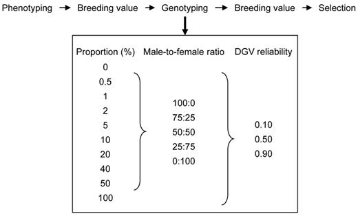 Procedure used to test the premise of diminishing marginal returns from genomic selection with increasing genotyping proportion. Selection candidates were phenotyped before genotyping. The phenotypes were used to predict breeding values (BV), and 0 to 100% of the candidates with the largest BV were genotyped. Genotypings were allocated to male and female candidates at 5 ratios. For each genotyped candidate, a direct-genomic value was sampled with reliabilities 0.10, 0.50, or 0.90. Breeding values were predicted after genotyping, and candidates with the largest BV were selected.