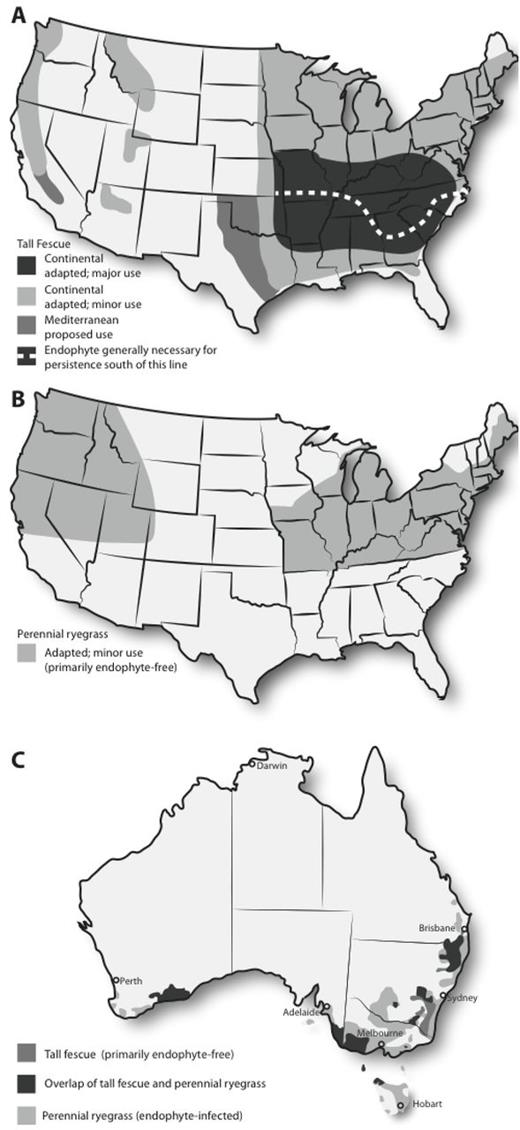Distribution of use and zones of adaptation for (A) tall fescue (continental summer active and Mediterranean summer dormant types) in the United States, (B) perennial ryegrass in the United States, and (C) tall fescue and perennial ryegrass in Australia. These maps are based on Belesky and West (2009) and C. P. West (Texas Tech University, Lubbock, personal communication) for (A), Hannaway et al. (1997, 1999) with modifications provided by T. Stratton (AgResearch, Ashville, NC, personal communication) for (B), and Wheatley (2005) for (C).