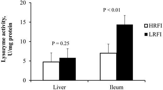 Liver and ileum lysozyme activity in pigs divergently selected for high (HRFI) or low (LRFI) residual feed intake (n = 6 pigs/line).