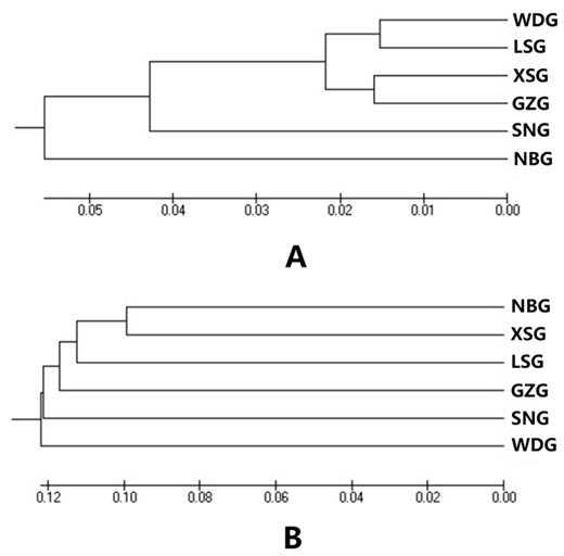 Unweighted pair group method with arithmetic mean dendrograms of 6 dairy goat breeds constructed based on Nei's minimum genetic distance (A) and molecular coancestry distance (B). WDG, Wendeng dairy goat; LSG, Laoshan dairy goat; GZG, Guanzhong dairy goat; XSG, Xinong Saanen dairy goat; SNG, Saanen dairy goat; NBG, Nubian dairy goat.