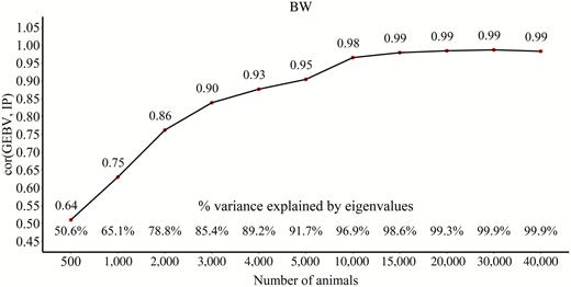 Correlations between GEBV and IP for BW with an increasing number of genotyped animals used to predict SNP effects.