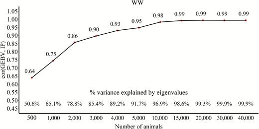 Correlations between GEBV and IP for WW with an increasing number of genotyped animals used to predict SNP effects.