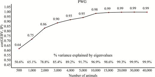 Correlations between GEBV and IP for PWG with an increasing number of genotyped animals used to predict SNP effects.