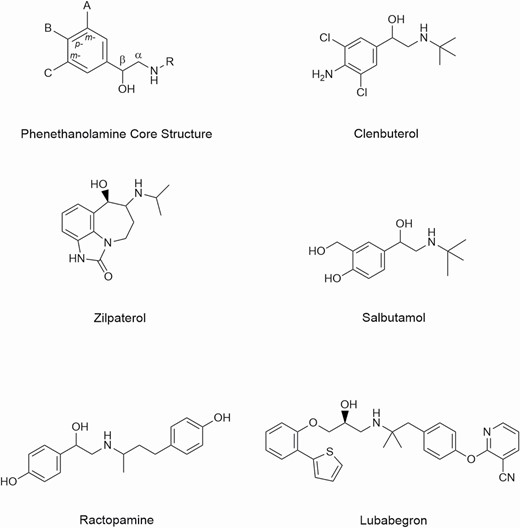 Structures of selected β-ligands.