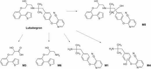 Metabolism of lubabegron (FDA, 2018).