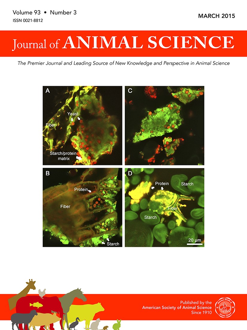 issue cover