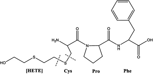 The chemical structure of the [HETE]–CPF biomarker. The fragmentation sites for the quantitation and confirmation ions are denoted by dashed lines (Cys = cysteine; Pro = proline; Phe = phenylalanine).