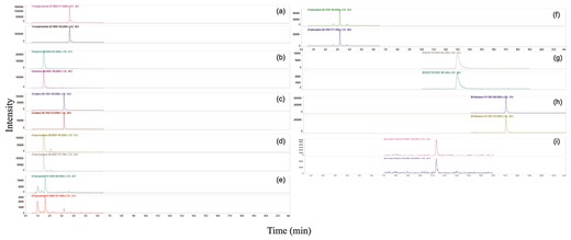 Quantifier and qualifier MRM transitions of sample 34 positive for (a) 6-acetylmorphine at >500 pg/mg, (b) morphine at >500 pg/mg, (c) codeine at >500 pg/mg, (d) hydromorphone at 514.5 pg/mg, (e) oxymorphone at 109 pg/mg, (f) hydrocodone at 67.1 pg/mg, (g) EDDP at 87.6 pg/mg, (h) methadone at 690.9 pg/mg and (i) furanyl fentanyl at 1 pg/mg.