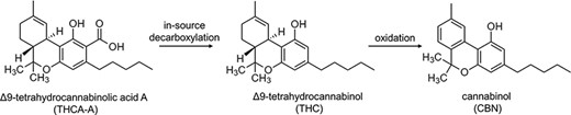 In-source degradation of Δ9-THCA-A.