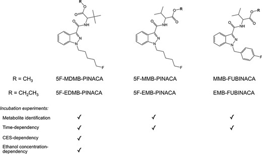 Chemical structures of 5F-MDMB-PINACA, 5F-MMB-PINACA, and MMB-FUBINACA and their corresponding ethyl ester analogs, 5F-EDMB-PINACA, 5F-EMB-PINACA, and EMB-FUBINACA. A tick (√) represents the type of incubation experiments performed on each compound namely metabolite identification, time-dependency, CES-dependency, or ethanol concentration-dependency experiment.