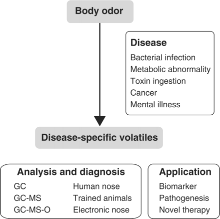 Overview and future outlook of the field of studies on volatiles and diseases.