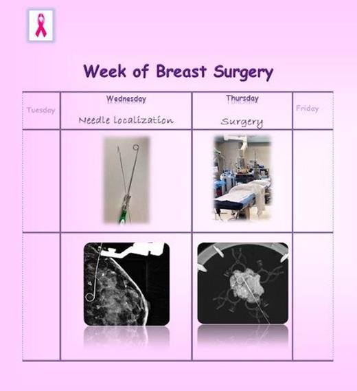 Graphical Abstract