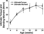 Ultimate torque and bending moment increased with age to peak values at 20 weeks. There were no important differences between the results obtained using the two testing methods.