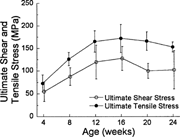  Ultimate shear and tensile stress increased with age to peak values at 12 weeks. In contrast, ultimate torque and moment reached peak values at 20 weeks, suggesting that bone material strength in C57BL/6 female mice matures before whole bone failure load.