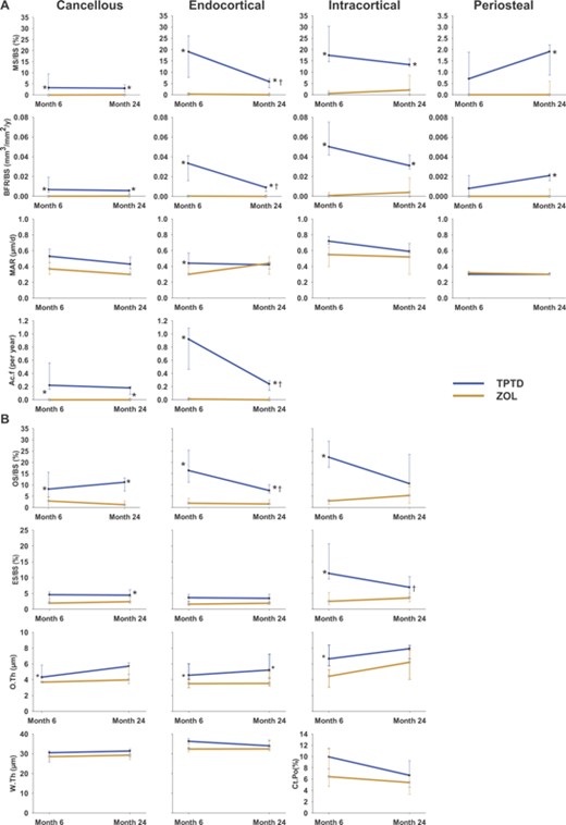 (A) Dynamic and (B) static indices for the paired data set. Due to the considerably lower median values for MS/BS and BFR/BS in the periosteal envelope, the y‐axes for these indices appears as one‐tenth that of the three other envelopes displayed. Cancellous endpoints: n = 10 for TPTD; n = 9 for ZOL. Endocortical, intracortical, and periosteal endpoints: n = 7 for TPTD; n = 9 for ZOL. *p < 0.05 between‐group difference at either month 6 or 24; †p < 0.05 within‐group difference (month 24 versus month 6). MS/BS = mineralizing surface/bone surface; BFR/BS = bone formation rate/bone surface; MAR = mineral apposition rate; Ac.f = activation frequency; OS/BS = osteoid surface/bone surface; ES/BS = eroded surface/bone surface; O.Th = osteoid thickness; W.Th = wall thickness; Ct.Po = cortical porosity.