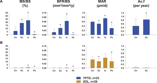 Dynamic indices in the four bone envelopes at 6 months (n = 52). (A) TPTD; (B) ZOL. *p < 0.05 for other bone envelopes versus cancellous envelope within each figure. Cn = cancellous; Ec = endocortical; Ic = intracortical; Ps = periosteal.