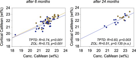 Cancellous (Canc.) CaMEAN versus cortical CaMEAN for each patient after 6 months (left) and 24 months (right) of therapy (blue = TPTD; bronze = ZOL). The data suggest a strong correlation between the average degree of mineralization in both compartments. The data from the ZOL 24‐month group were not significantly correlated because the variation of both cancellous CaMean and cortical CaMean is too low.