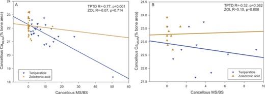 Correlation of mineralizing surface per bone surface (MS/BS) with average mineral content (CaMean) in cancellous bone at (A) 6 months and (B) 24 months of treatment. No significant relationship was observed with ZOL treatment (bronze symbols), whereas with TPTD, MS/BS outcomes were predictive for CaMean at 6 months (blue symbols). For the TPTD group excluding the robust responder, in cancellous bone at 6 months r = –0.46, p = 0.015.