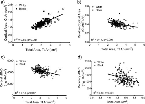 Linear regression analysis showing associations between measures of external bone size (Tt.Ar measured from CT images or bone area measured from DXA images) and (A) cortical area, (B) relative cortical area, (C) cortical tissue mineral density, and (D) medullary vBMD. HA = hydroxyapatite.