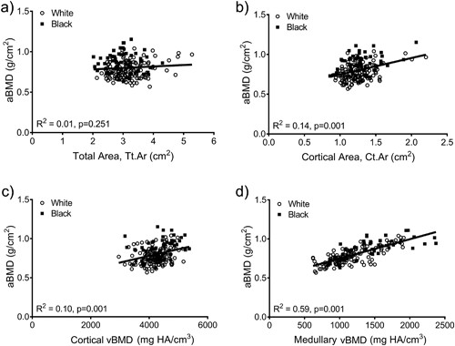 Linear regression analysis showing associations between aBMD from DXA and (A) total area, (B) cortical area, (C) cortical tissue mineral density, and (D) medullary vBMD. HA = hydroxyapatite.