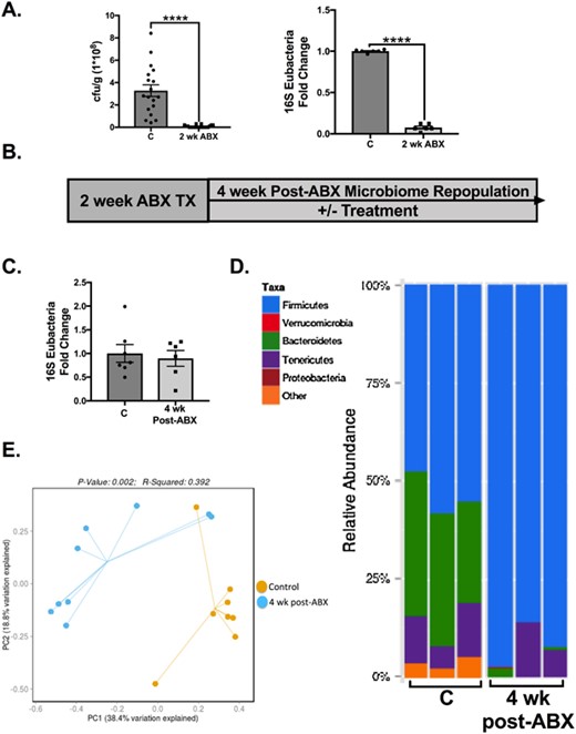 https://doi.org/10.1002/jbmr.3635 social preview image