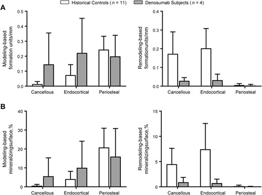 Specialized histomorphometric modeling‐based and remodeling‐based bone formation parameters in study subjects and historical controls. Graphs show the mean ± SD. (A) Modeling‐based and remodeling‐based formation units per mm in each of the three bone envelopes. (B) Percentage of modeling‐based and remodeling‐based mineralizing surface in each of the three bone envelopes.