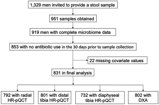 Selection of participants; fully described in Subjects and Methods.