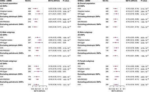 Mendelian randomization analysis between SHBG and eBMD. (A) Estimates of causal effect for genetically predicted SHBG on eBMD in overall population. (B) Estimates of causal effect for genetically predicted SHBGa on eBMD in overall population. (C) Estimates of causal effect for genetically predicted SHBG on eBMD in male subgroup. (D) Estimates of causal effect for genetically predicted SHBGa on eBMD in male subgroup. (E) Estimates of causal effect for genetically predicted SHBG on eBMD in female subgroup. (F) Estimates of causal effect for genetically predicted SHBGa on eBMD in female subgroup. The red boxes denote point estimates of the causal effects, and the error bars denote 95% CIs. IVW was adopted as primary analysis. Weighted median, MR Egger and MR‐PRESSO were adopted as sensitivity analysis. CI = confidence interval; eBMD = heel estimated bone mineral density; IVW = inverse variance weighting; SHBG = sex hormone‐binding globulin; SHBGa = sex hormone‐binding globulin adjusted for body mass index.