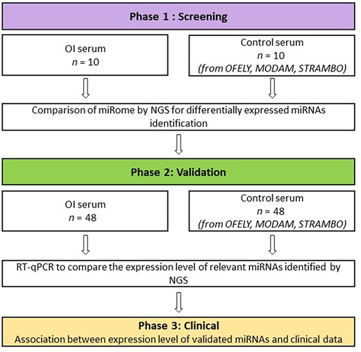 Flowchart of the miROI study. The initial screening phase identified potential miRNAs that were quantified in larger groups of subjects in the validation phase to investigate the potential associations of circulating miRNAs with the disease phenotype in the clinical phase.