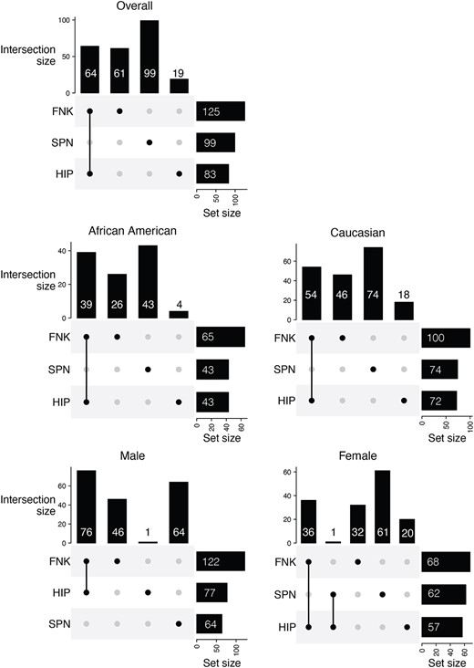 UpSet plot for BMD association tests with FDR $\le$ 0.05. The plot visualizes the significant associations between structural variations (SVs) and BMD across 3 skeletal sites: Femoral neck (FNK), hip (HIP), and lumbar spine (SPN) for the overall samples or subgroups. The intersections indicate the common associations among different BMD sites. The vertical bars represent the number of significant associations for each unique combination of BMD sites, while the horizontal bars show the total number of significant associations for each individual BMD site. This visualization helps identify unique and shared genetic associations across different bone regions.