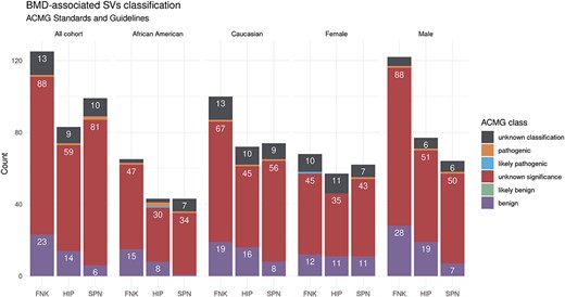 BMD-related SV ACMG classification in the LOS study. A bar graph summarizes the count of BMD-related SVs with the ACMG classification across different bone sites and study groups. The majority of the identified SVs in the femoral neck (FNK), hip (HIP), and lumbar spine (SPN) for the overall samples or sex/ethnicity-specific groups are of unknown significance to human health.