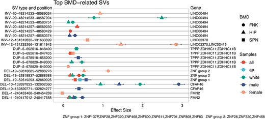 Top 10 omics annotated BMD-related SVs and their corresponding genes. The top BMD-related SVs were prioritized based on the counts of omics annotations from co-occurrence analyses in GWAS, TWAS, and Epigenome. The figure illustrates the top 10 genes associated with these SVs. The x-axis shows the effect size of the association with BMD. The left y-axis indicates the SV type (deletions (DEL), duplications (DUP), and inversions (INV)), chromosome position, and the start and end positions according to the human genome HG38 version. The right y-axis lists the genes associated with the corresponding SVs. Different shapes represent various BMD traits (femoral neck (FNK), Hip (HIP), and lumbar spine (SPN)), and different colors indicate sample groups (all, white, African American (aa), male, female).