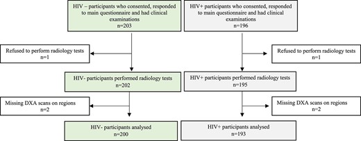 Participant recruitment flow diagram.