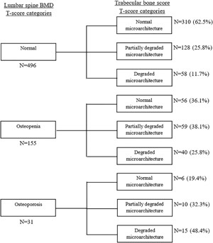 Comparison between lumbar spine BMD T score categories and trabecular bone score T score categories in women.
