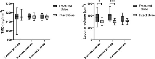 TMD of the necrotic bone in the bone calluses (fractured tibias) compared to the TMD of the intact tibias showed no significant difference. However, the mean lacuna volume of necrotic (dead) old cortical bone was significantly higher than other bone at the 2 week and 3 week time points. Bars represent standard deviation. *p < 0.05; **p < 0.01. post op = postoperation; TMD = tissue mineral density.