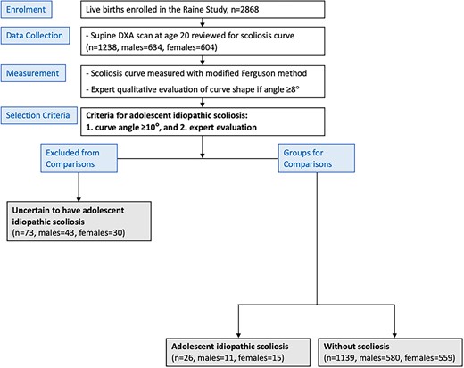 Consolidated Standards of Reporting Trials (CONSORT) diagram to detail the recruitment and allocation of participants for this study (adapted from Ng et al21). Participants were allocated into (1) adolescent idiopathic scoliosis and (2) without scoliosis and (3) uncertain to have adolescent idiopathic scoliosis based on their curve angle (measured modified Ferguson angle ≥10°) and expert evaluation.