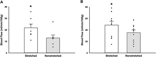 Blood flow to the proximal tibial metaphysis was measured in both stretched and nonstretched limbs during acute stretch (A) and during treadmill exercise (B) after undergoing 4 wk of daily stretching. During acute stretch, blood flow in the tibial metaphysis of the stretched limb was higher than in the tibial metaphysis of the contralateral non-stretched limb (n = 7; 21.79 ± 3.28 vs 13.01 ± 2.60 mL/min/100 g; *P < .05 stretched vs nonstretched). After 4 wk of daily stretching, blood flow in the tibial metaphysis of the stretched limb was higher than in the tibial metaphysis of the contralateral non-stretched limb during treadmill exercise (n = 11; 48.51 ± 6.55 vs 35.22 ± 4.97 mL/min/100 g; *P < .01 stretched vs nonstretched).