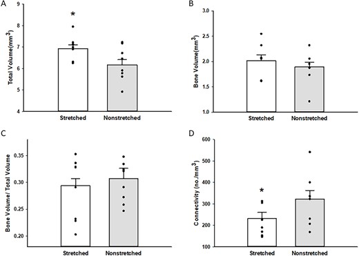 Total volume (A), bone volume (B), bone volume/total volume (C), and trabecular connectivity (D) in the proximal tibia of stretched and nonstretched hindlimbs. Total volume (A) was higher in the proximal tibia from stretched hindlimbs (n = 9; 6.92 ± 0.18 vs 6.18 ± 0.25 mm3; *P < .05 stretched vs nonstretched). Bone volume (B) was not different in the proximal tibia of stretched and nonstretched limbs (n = 9, 2.02 ± 0.11 vs 1.89 ± 0.10 mm3). Bone volume/total volume (C) was not different in the proximal tibia of stretched and nonstretched limbs (n = 9; 0.294 ± 0.013 vs 0.307 ± 0.0193; *P < .05 stretched vs nonstretched) as was trabecular connectivity (n = 8; 232.19 ± 28.46 vs nonstretched 322.94 ± 39.97, *P < .05 stretched vs nonstretched).